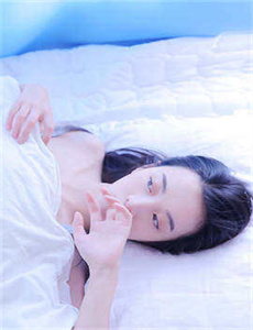 狗的生涯